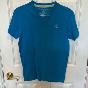 Abercrombie & Fitch Men's V-Neck Tee in Teal Blue
